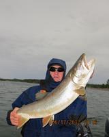 Joe's big trout.  Atta boy Joe!!