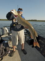 51" PIKE!!! Not much more to say…..WOW Angelo viola from fish'n canada