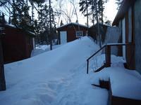looking from the back door towards the guest cabins