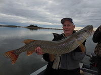 Todd Cubbon with a 46" Pike!