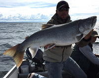 Brent Hofer's 33 pound Laker with guide bob cottrell